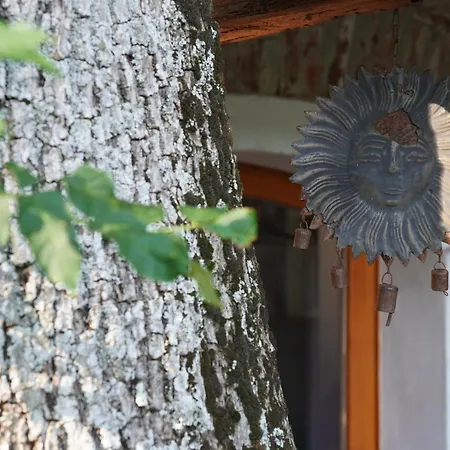 Dom Przemian Holiday home *