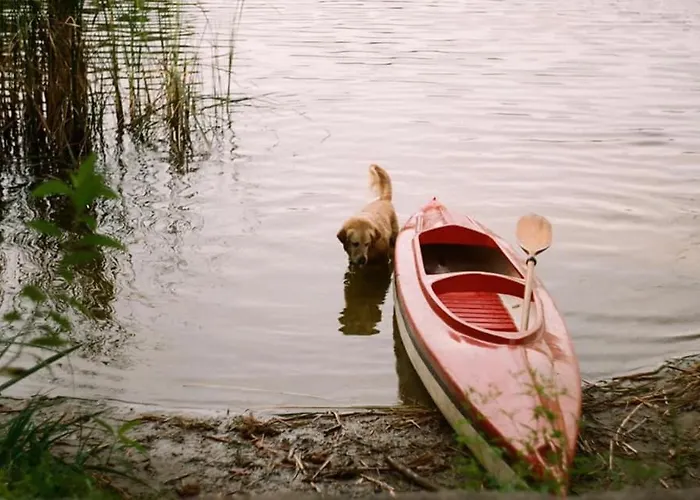 Dom Przemian Skorzecin