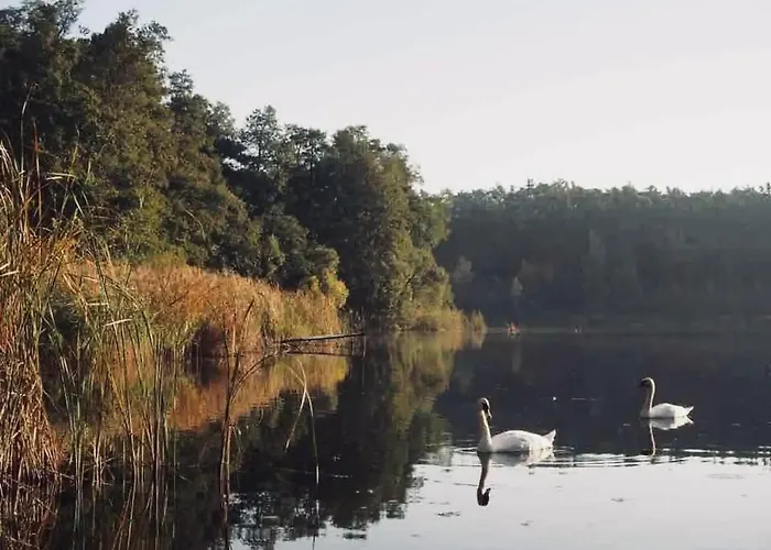 Dom Przemian Casa de Férias Skorzecin